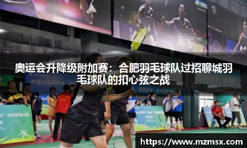 奥运会升降级附加赛：合肥羽毛球队过招聊城羽毛球队的扣心弦之战